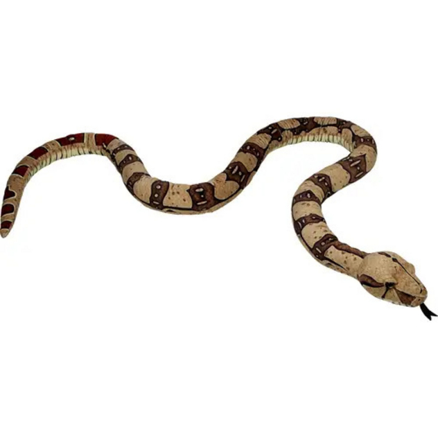 Boa constrictor - Nature Zoom Wild