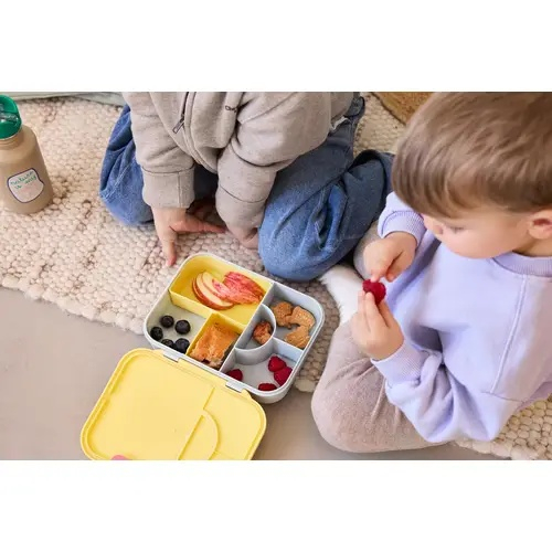 Bento-Lunchbox "Happy Trails Flower"