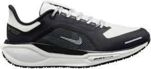 Wasserdichter Straßenlaufschuh "Nike Pegasus 41 GORE-TEX"