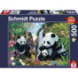 Pandafamilie am Wasserfall