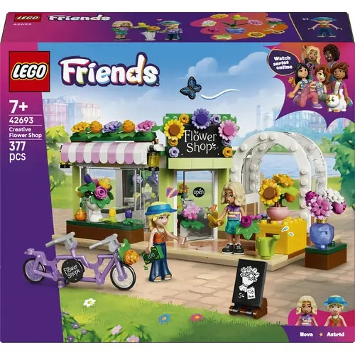 42693 Kreativer Blumenladen V29