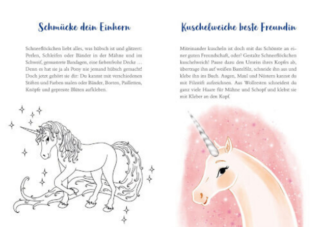 Sternenschweif Zauberhafter Geburtstag