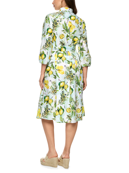 Kleid
