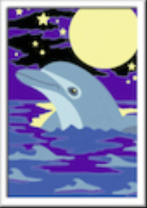Malen nach Zahlen "Kleiner Delfin"