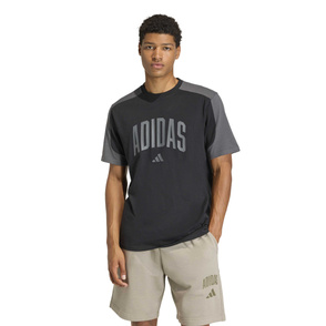 T-Shirt "Collegiate"