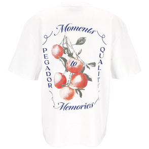 T-Shirt "Frombork"