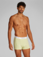 Trunk "3PK"