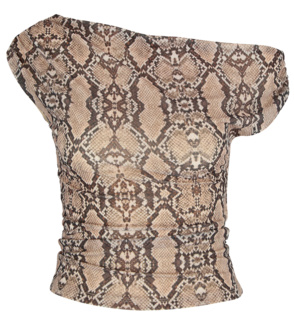 Asymmetrisches Top