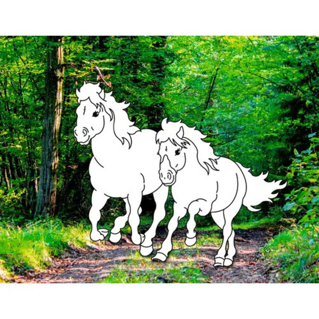 Traumpferde-Malbuch: Wilde Natur - Pferd