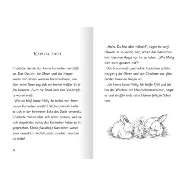 Kinderbuch "Magische Häschen - Schokosüße Abenteuer"