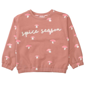 Sweatshirt "spice season"