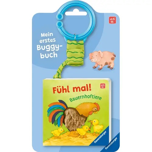 Mein erstes Buggybuch: Bau