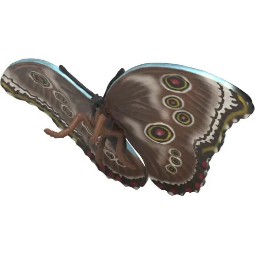 Insekten Entdecker Set