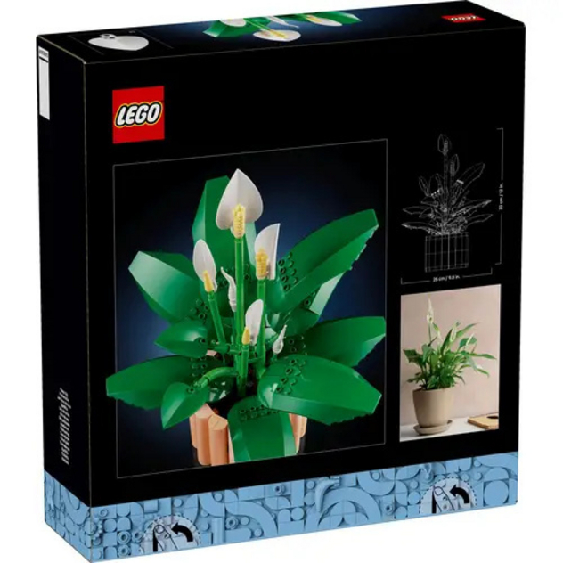 Botanicals "Friedenslilie", 11504