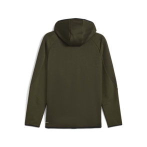 Hoodie "Evostripe"