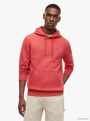 Hoodie "REG S FLAG"