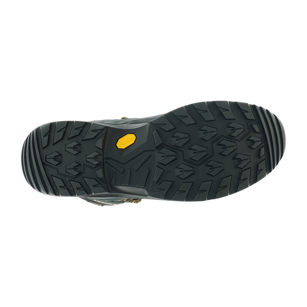 Multifunktionsstiefel "Renegade Evo GTX  Mid W"