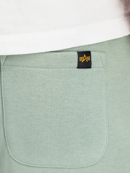 Shorts "Basic SL II"