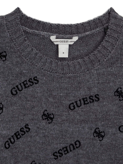 Pullover "LS"