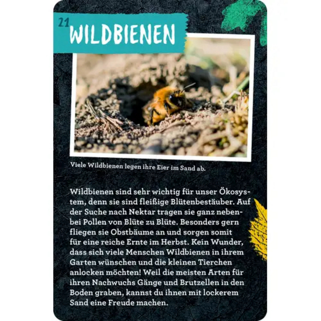 Blechdose "Nature Zoom - 50 Garten-Projekte"