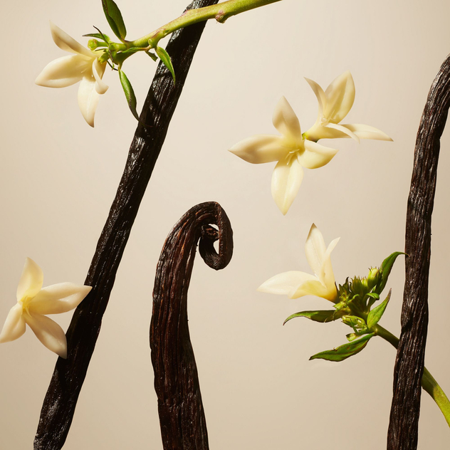 Suede Vanilla Fragrance Sticks