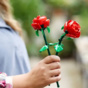 Botanical Collection "Rosen", 40460