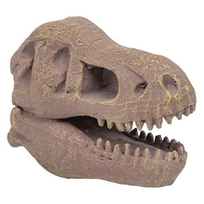 Dino Ausgrabungsset T-Rex