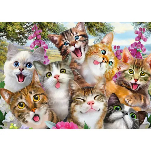 Katzen-Selfie