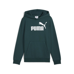 ESS No. 1 Logo Hoodie FL B