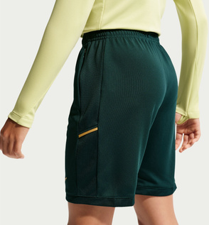 Shorts "Nike Academy"