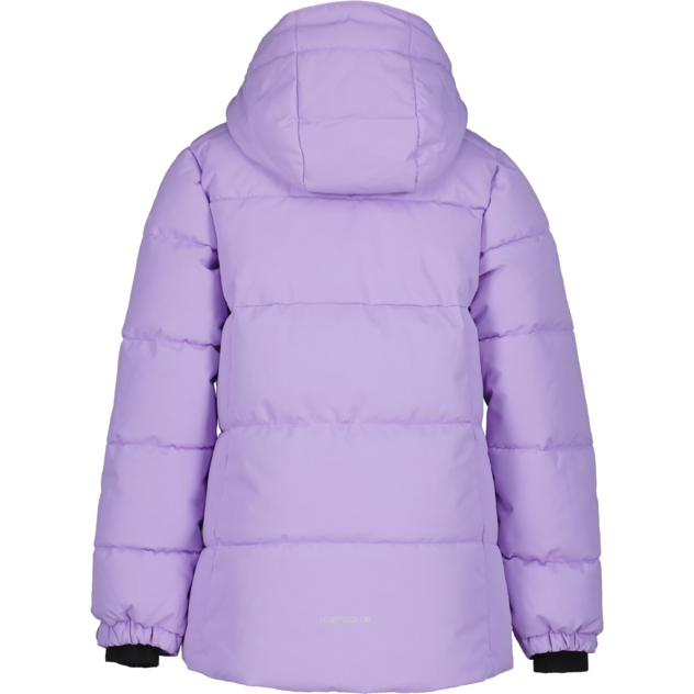 ICEPEAK LORIS JR