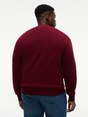 Pullover "BT-PIMA"