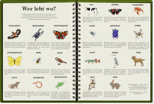 Wimmelbuch "Tiere über und unter der Erde"