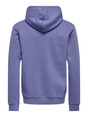 Kapuzenpullover "ONS Ceres"