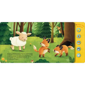 Soundbuch "Hör mal, so klingen die Tierkinder!"