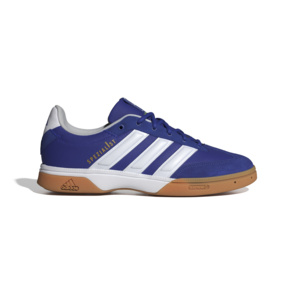 Indoor Schuh "Spezialist"
