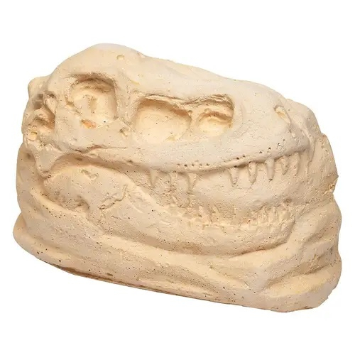 Dino Ausgrabungsset T-Rex