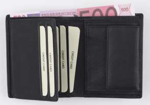 Kombibörse "Öko Datensafe"