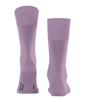 Socken ClimaWool