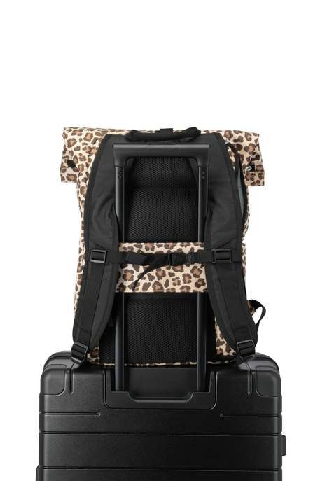 Roll-Up-Rucksack "Basics"
