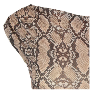 Asymmetrisches Top