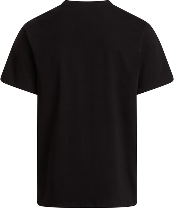 T-Shirt "Evolution Simple Dome"