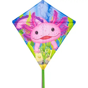 Eddy Axolotl