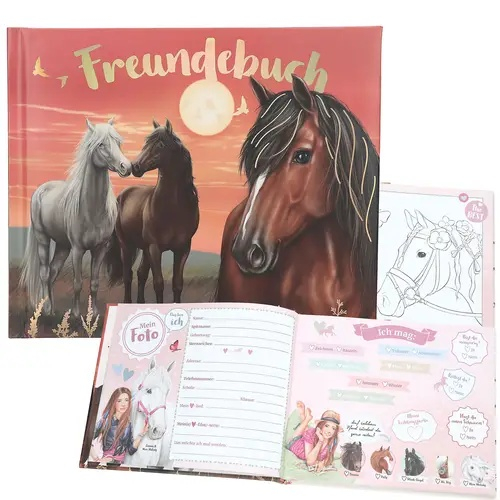 Freundebuch "Miss Melody"