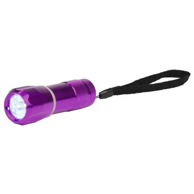 Exp. Natur Taschenlampe PowerLED