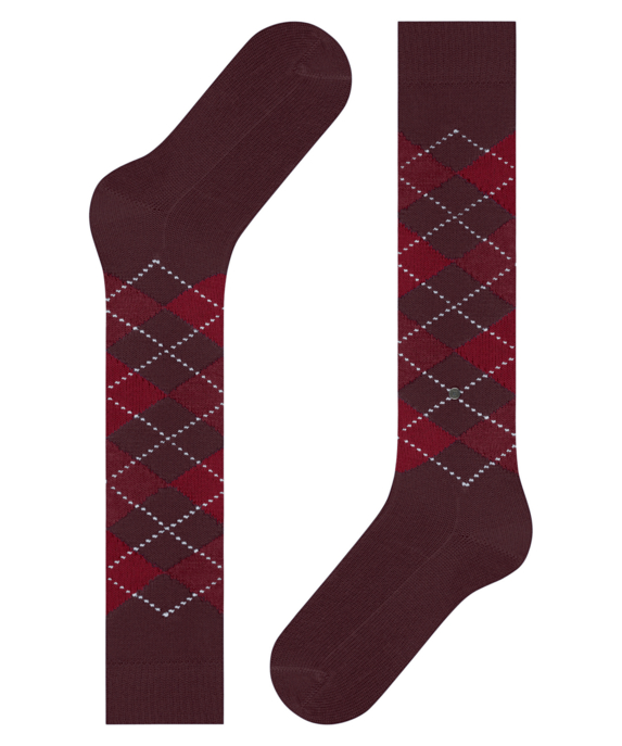 Burlington Whitby Damen