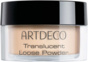 TRANSLUCENT LOOSE POWDER              02