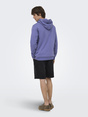 Kapuzenpullover "ONS Ceres"