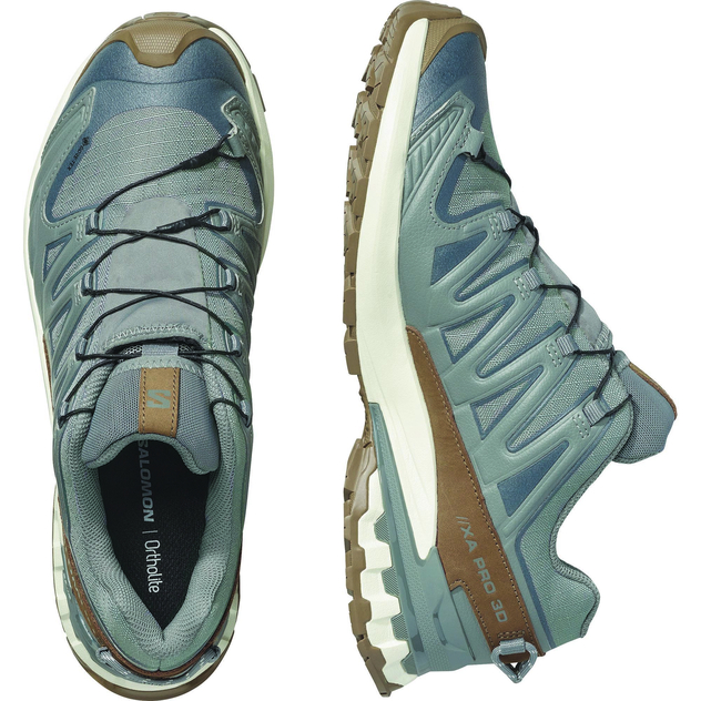 Trailrunning-Schuhe "XA Pro 3D V9 GTX Lifelong"