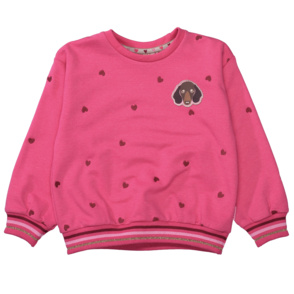 Sweatshirt "JETTE"